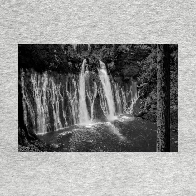 McArthur-Burney Falls in Black and White by Ckauzmann